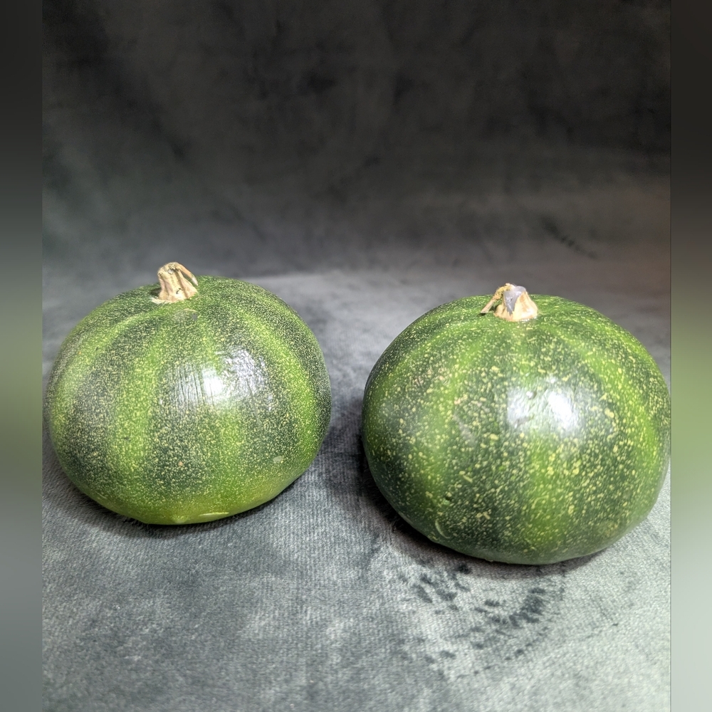 POTTERY BARN CANDLES Green Pumpkin Gourd  Sculpted Candles